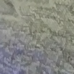 dantesaballertn _2005