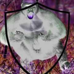 GORILLA SHIELD+++