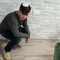 chaim azani