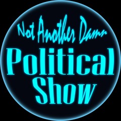 Not Another Damn Political Show