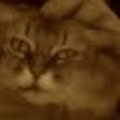 Chima Anyadike-Danes