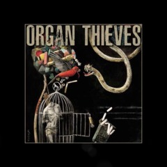 Organ Thieves