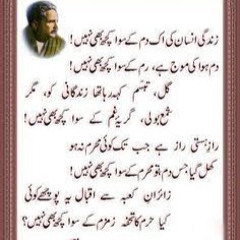 Muhammed Razzak Memon💲
