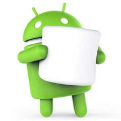 Michael Niesluchowski