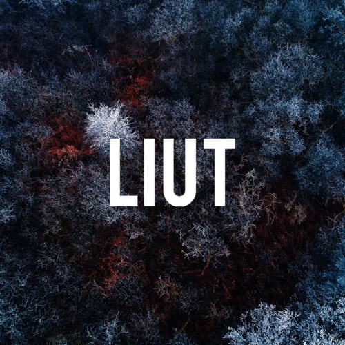 Liut’s avatar