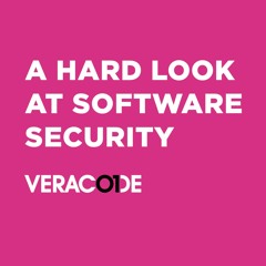 A Hard Look at Software Security