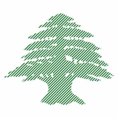 CEDRO