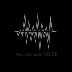 Mohamed Amer