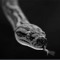 Viper