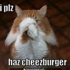 Cheezburgerz