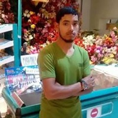 bashr