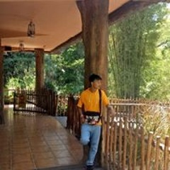 dedek