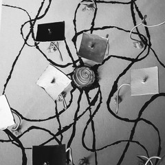 Official_Skull_Wcoot