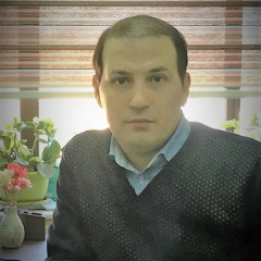 Seyed Naser Razavi