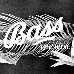 Bass The Wise ?