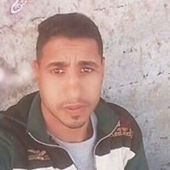 محمود النجار