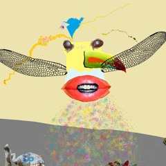 Pájaro-Puerta