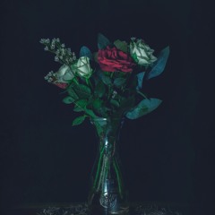 Lofi Collective