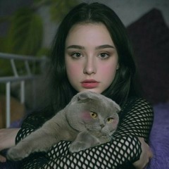허쉬초콜릿