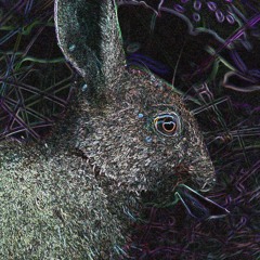 Burnt Hare