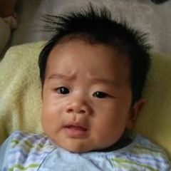 Anh Ngô