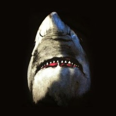 FreddyAAG