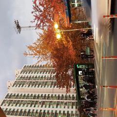 Koon Heo