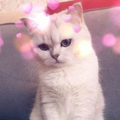 елена суходольская