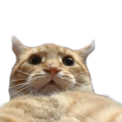 User 341357761