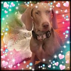 Kreszentia Teena Morris