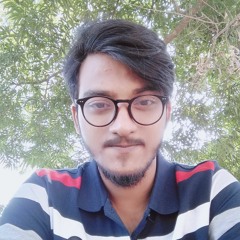 Mehedi Hassan