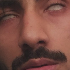 PERICOKUNGFUCKKPERICO