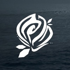 Blume Collective