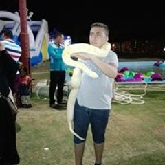 Mohamed Hesham