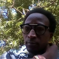 ibro cilla