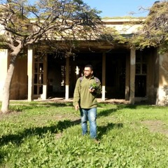 mselsheikh