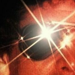 Shakedown Street Hassle