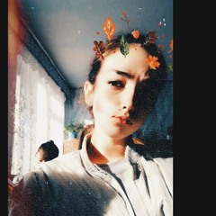 grebenik111@gmail.com