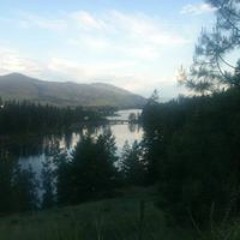 Timothy N Brenda Friesen