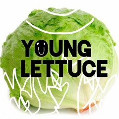 Young Lettuce