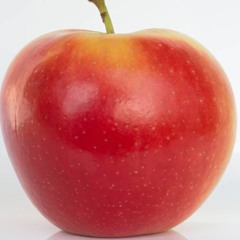 LS