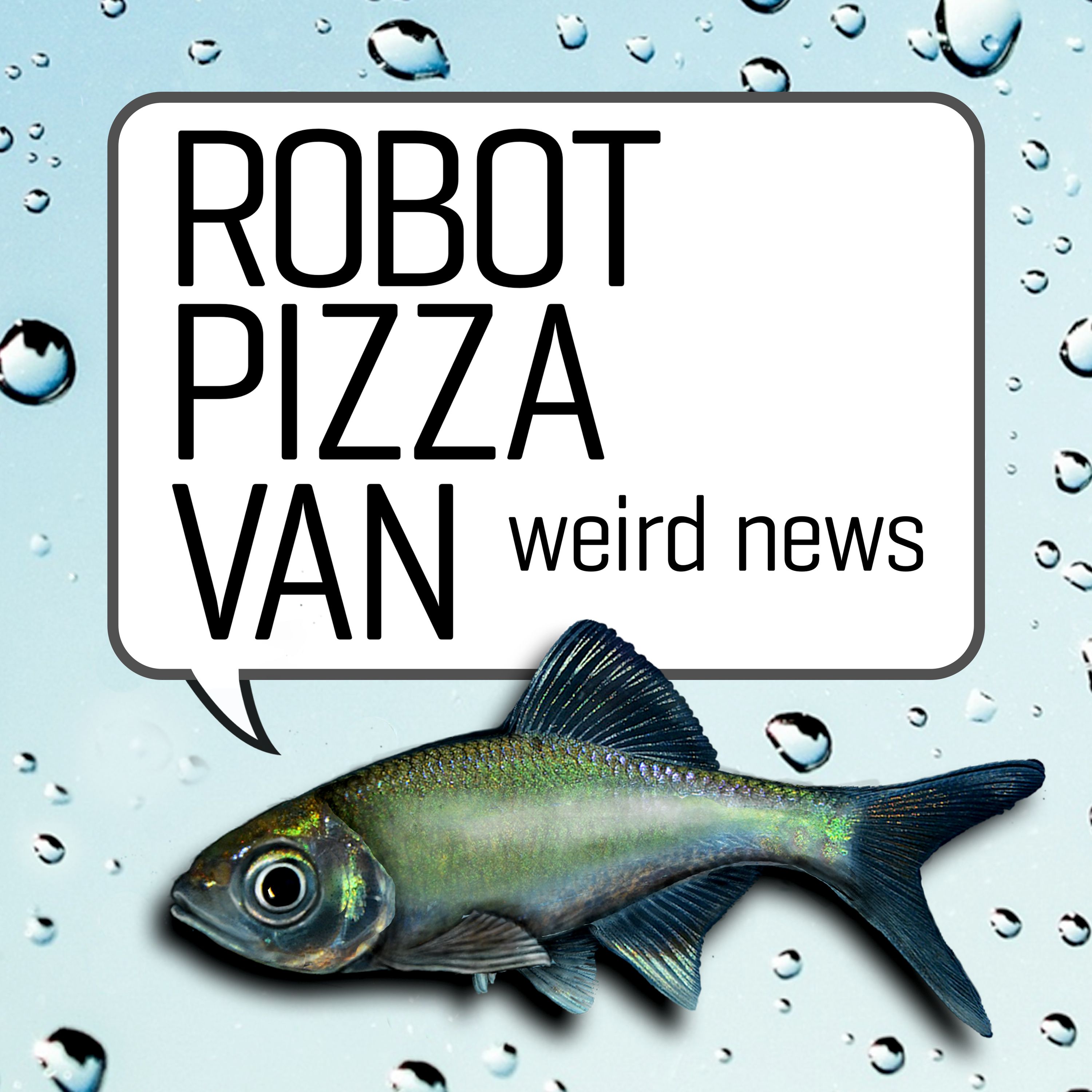 Robot Pizza Van, Funny News