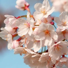 Catherine Juarez 🌺