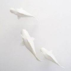 Hoàng Sơn Nguyễn