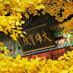 Vun Vui Shung