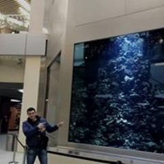 Саша Гогунский