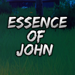 Essence of John
