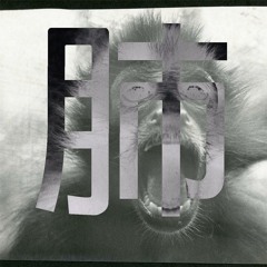 Elephant & Centipede