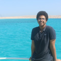 Abdulrhman Mohsen