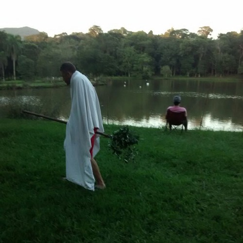 Mandragora- Sem Chão